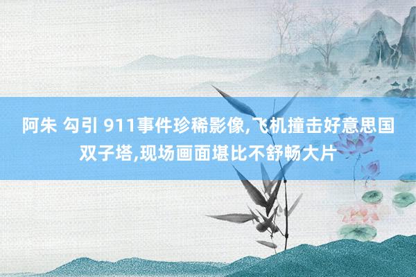 阿朱 勾引 911事件珍稀影像,飞机撞击好意思国双子塔,现场画面堪比不舒畅大片