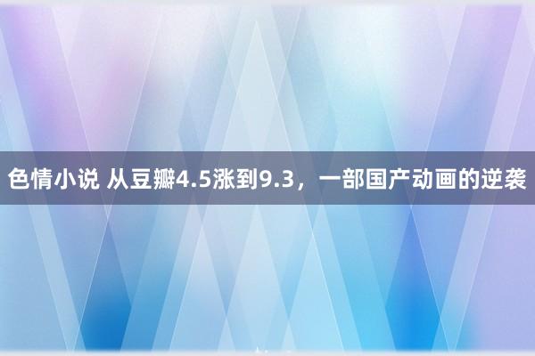 色情小说 从豆瓣4.5涨到9.3，一部国产动画的逆袭