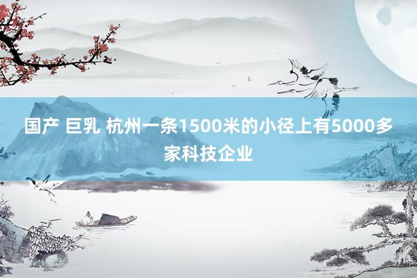 国产 巨乳 杭州一条1500米的小径上有5000多家科技企业