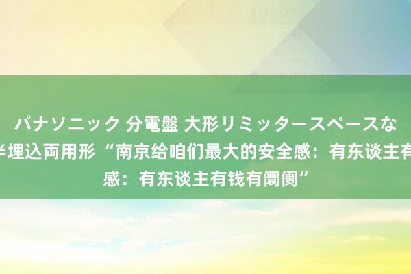 パナソニック 分電盤 大形リミッタースペースなし 露出・半埋込両用形 “南京给咱们最大的安全感：有东谈主有钱有阛阓”
