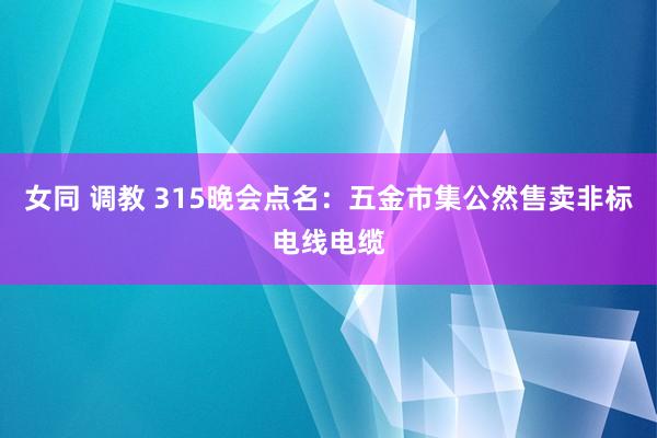 女同 调教 315晚会点名：五金市集公然售卖非标电线电缆