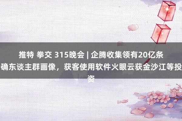 推特 拳交 315晚会 | 企腾收集领有20亿条精确东谈主群画像，获客使用软件火眼云获金沙江等投资