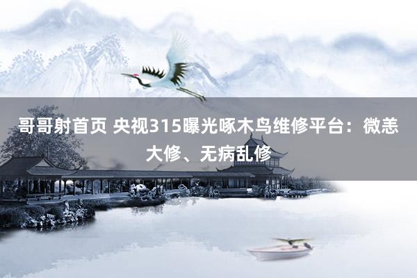 哥哥射首页 央视315曝光啄木鸟维修平台：微恙大修、无病乱修
