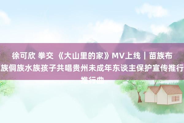 徐可欣 拳交 《大山里的家》MV上线｜苗族布依族侗族水族孩子共唱贵州未成年东谈主保护宣传推行曲