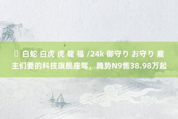 ✨白蛇 白虎 虎 龍 福 /24k 御守り お守り 雇主们要的科技旗舰座驾，腾势N9售38.98万起