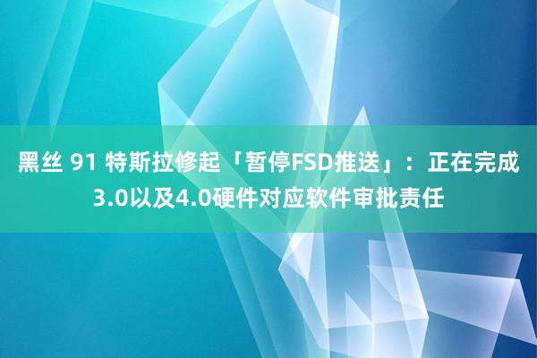 黑丝 91 特斯拉修起「暂停FSD推送」：正在完成3.0以及4.0硬件对应软件审批责任