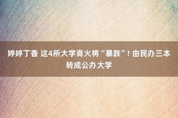 婷婷丁香 这4所大学膏火将“暴跌”! 由民办三本转成公办大学