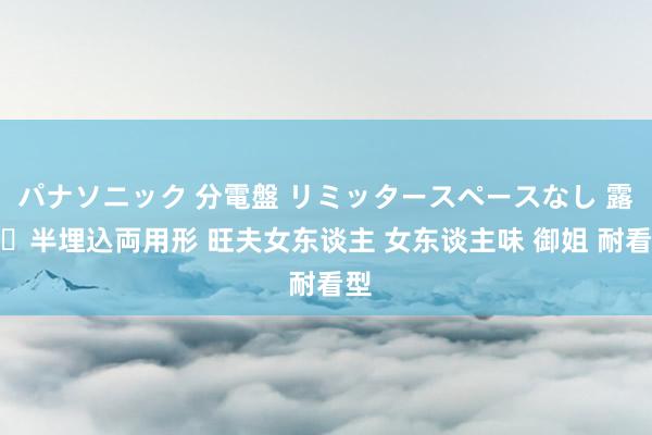 パナソニック 分電盤 リミッタースペースなし 露出・半埋込両用形 旺夫女东谈主 女东谈主味 御姐 耐看型
