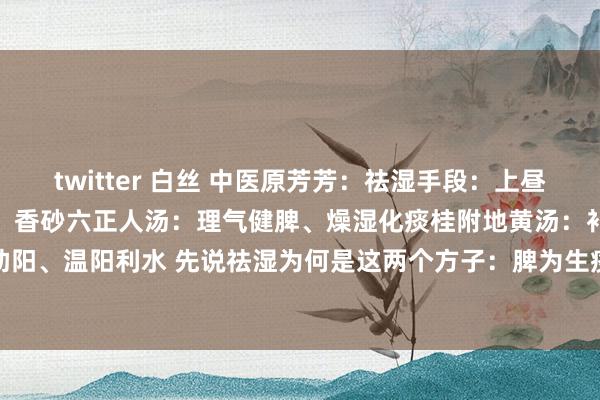 twitter 白丝 中医原芳芳:祛湿手段:上昼香砂六君,下昼桂附地黄! 香砂六正人汤:理气健脾、燥湿化痰桂附地黄汤:补肾助阳、温阳利水 先说祛湿为何是这两个方子:脾为生痰之源,它喜燥恶湿,香砂六...