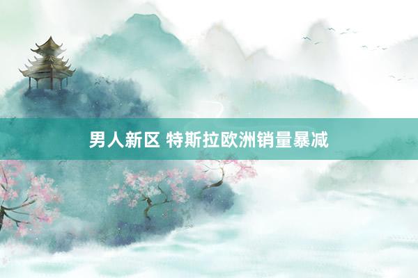男人新区 特斯拉欧洲销量暴减