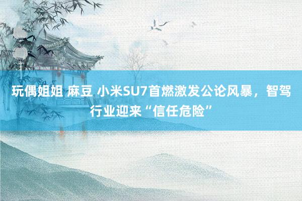 玩偶姐姐 麻豆 小米SU7首燃激发公论风暴，智驾行业迎来“信任危险”