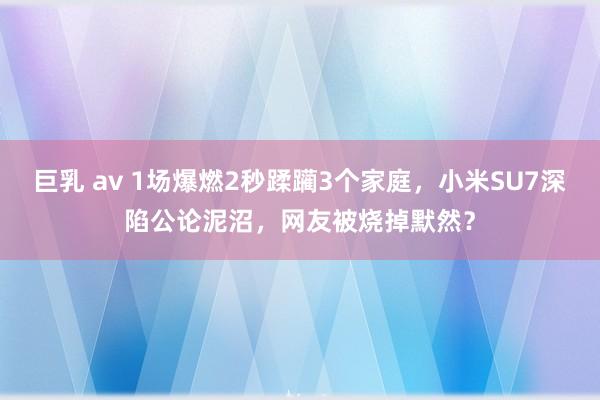 巨乳 av 1场爆燃2秒蹂躏3个家庭，小米SU7深陷公论泥沼，网友被烧掉默然？